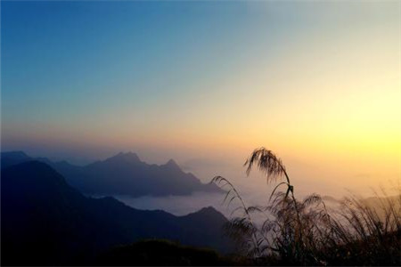 濮阳教师资格证认定现场确认要哪些材料?